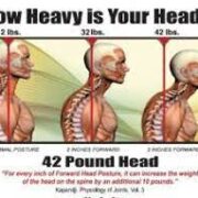 head weight meaning