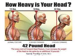 head weight meaning